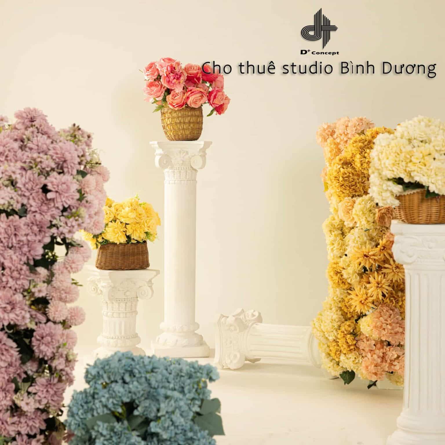 Dịch vụ cho thuê Studio và thiết bị tại Bình Dương