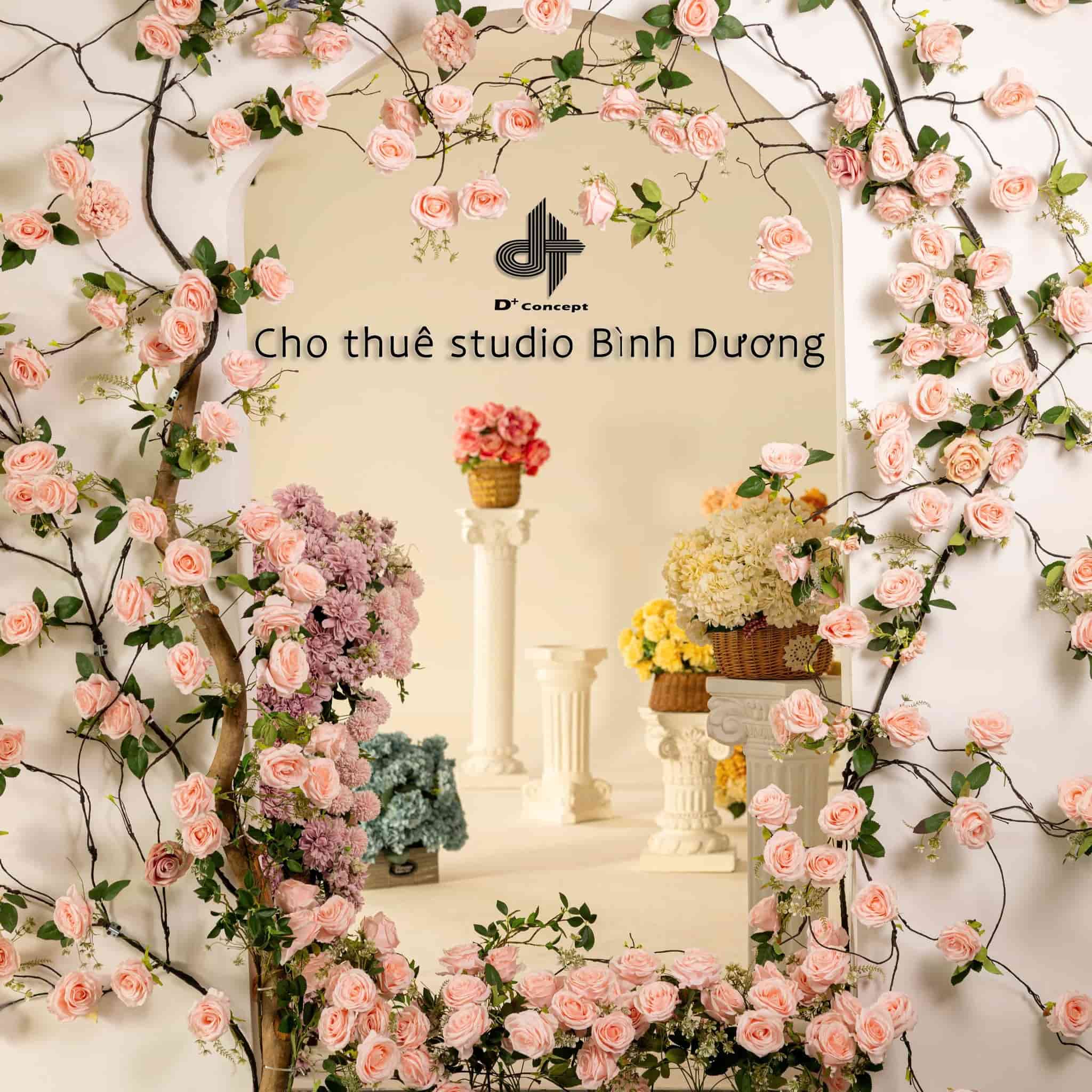 Dịch vụ cho thuê Studio và thiết bị tại Bình Dương